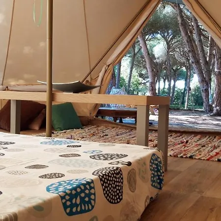 The Pineforest Holiday home *