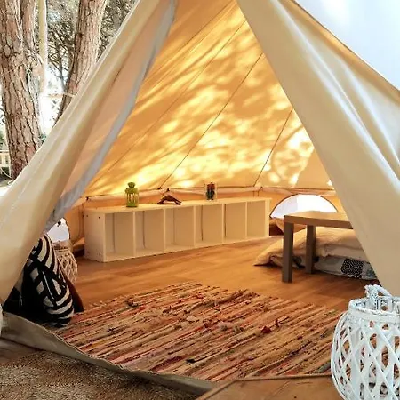 The Pineforest Holiday home