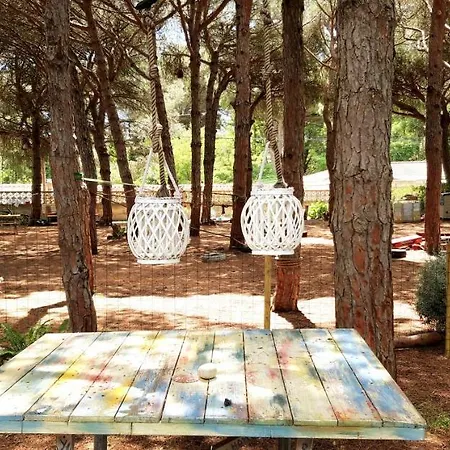 The Pineforest Holiday home Chiclana de la Frontera