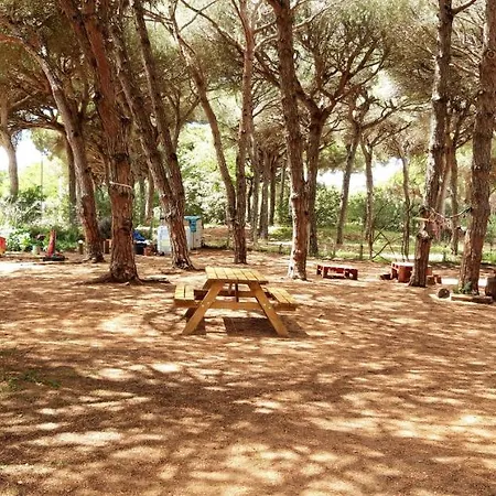 The Pineforest Chiclana de la Frontera