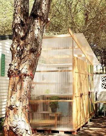 The Pineforest Holiday home