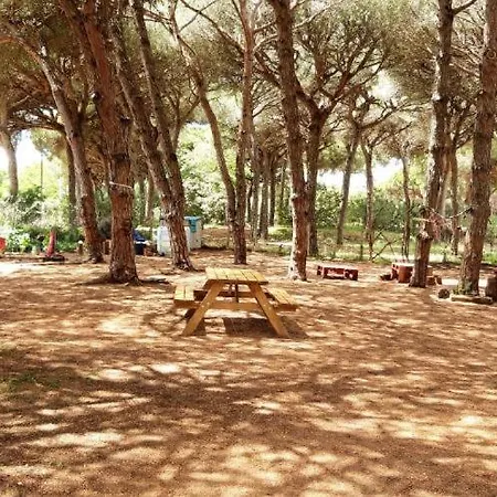The Pineforest * Chiclana de la Frontera