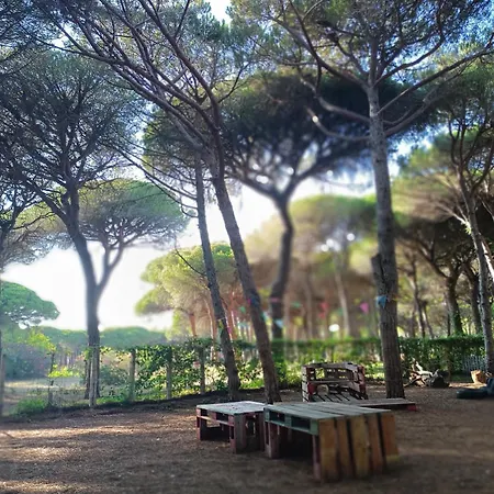 Holiday home The Pineforest Chiclana de la Frontera
