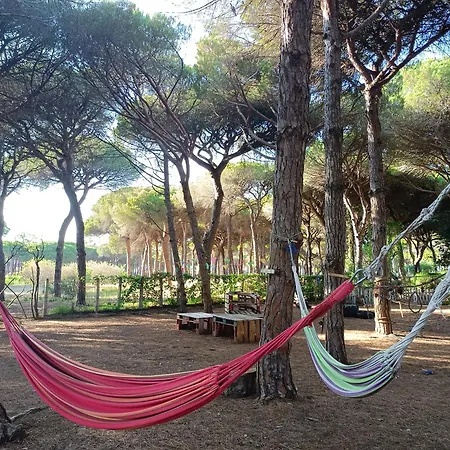 The Pineforest Chiclana de la Frontera