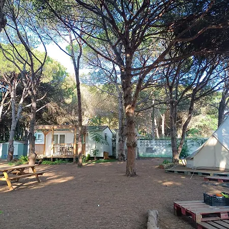 The Pineforest Holiday home