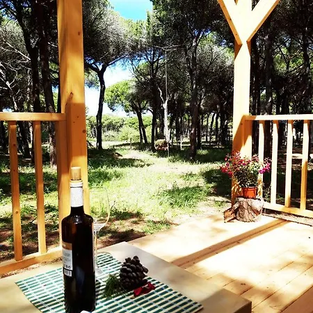 The Pineforest Chiclana de la Frontera