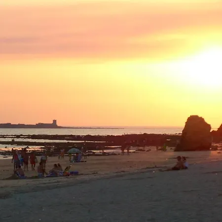 Holiday home The Pineforest Chiclana de la Frontera